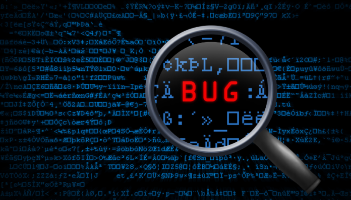 A Detailed Guide to Bug Bounty Programs